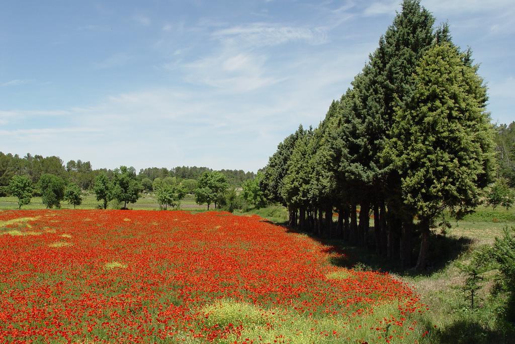 Une Campagne En Provence Bras 외부 사진