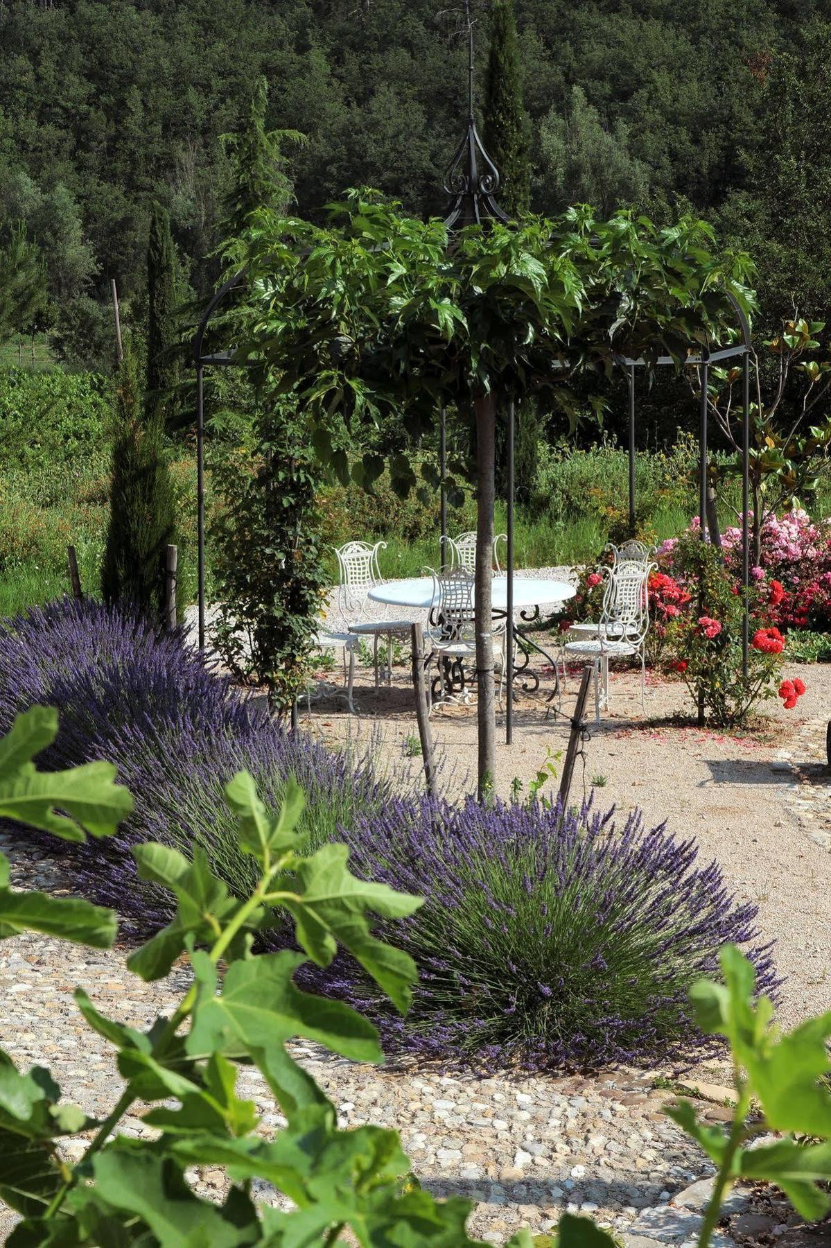 Une Campagne En Provence Bras 외부 사진